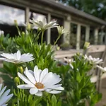 Holiday home Ut Good