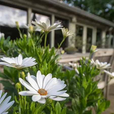 Vakantiehuis Ut Good